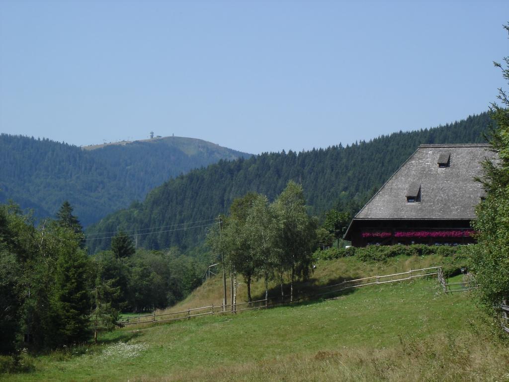 Restaurant Peterle