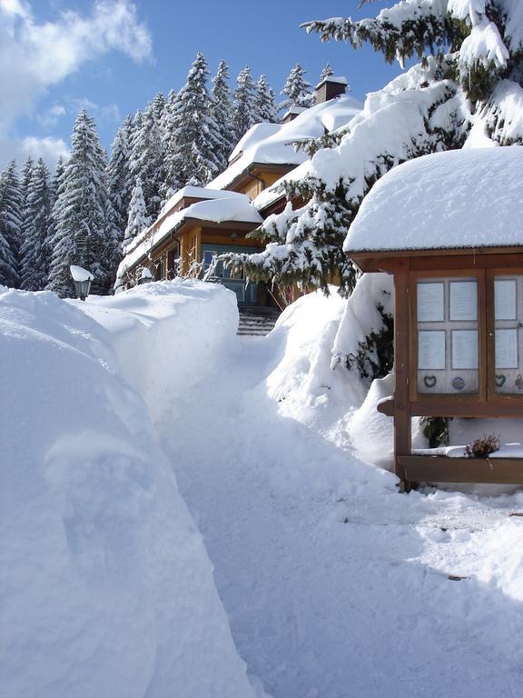 Restaurant Peterle Feldberg (Baden-Wurttemberg)